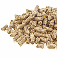 Holzpellets