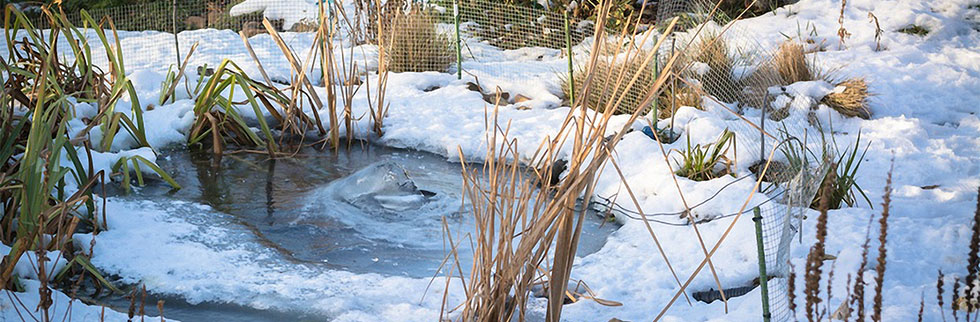 Gartenteich im Winter