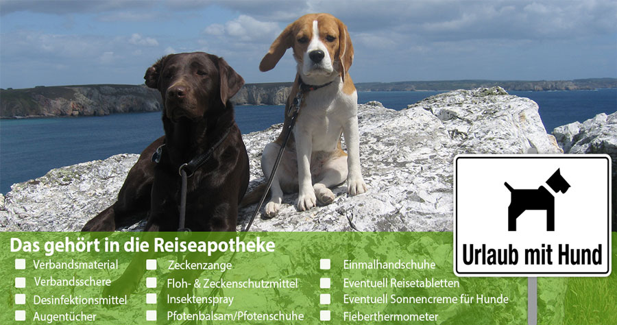 Hunde apotheke