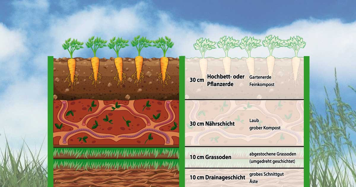 Hochbeet Grafik Struktur