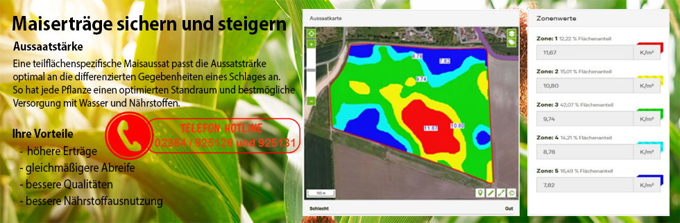 Maiserträge sichern und steigern