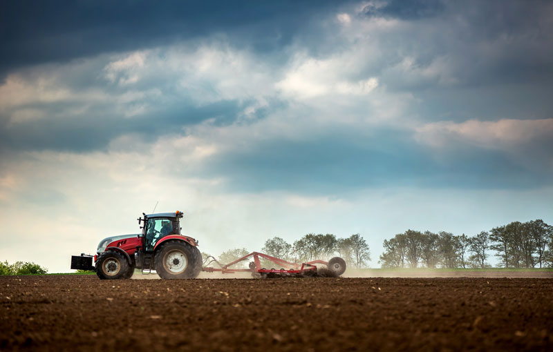 Landwirtschaft